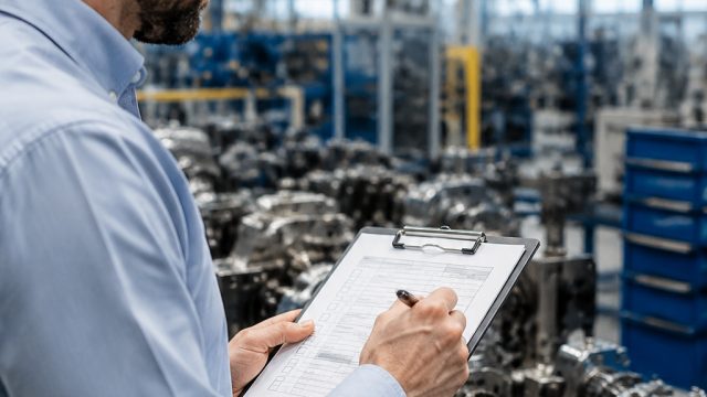 The Essential Guide to Supplier Audits in Today's Manufacturing Landscape | channa limbata, demo slo