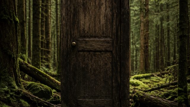Exploring the Mysteries of 'The Door in Penrose Forest' | nuansa slot77, qq play win