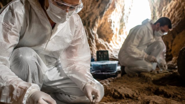 Ancient DNA Discovery in Iberian Caves: A Breakthrough in Prehistoric Research | play slot machines 