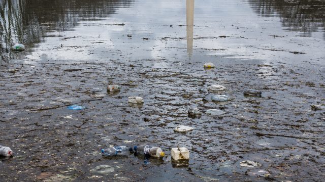 The Alarming Environmental Crisis Behind Trump's Reflecting Pool | situsslot777, real money online c