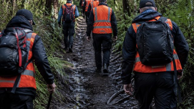 Urgent Search Underway for Missing Woman in Upper Ferntree Gully | jokergaming388, 40 super hot slot